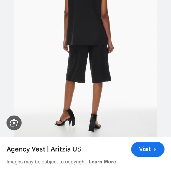 BNWT Aritzia Babaton Agency Vest - Picture 3 of 5